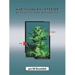 Marihuana en interior