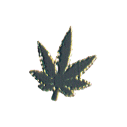 Pin