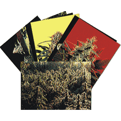 Tarjetas Postales