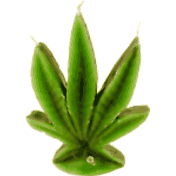 Catlogo de Camo Espaa